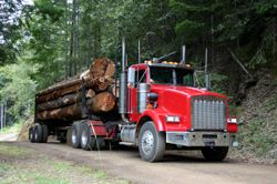 Log Truck Accident/Automobile Accident
